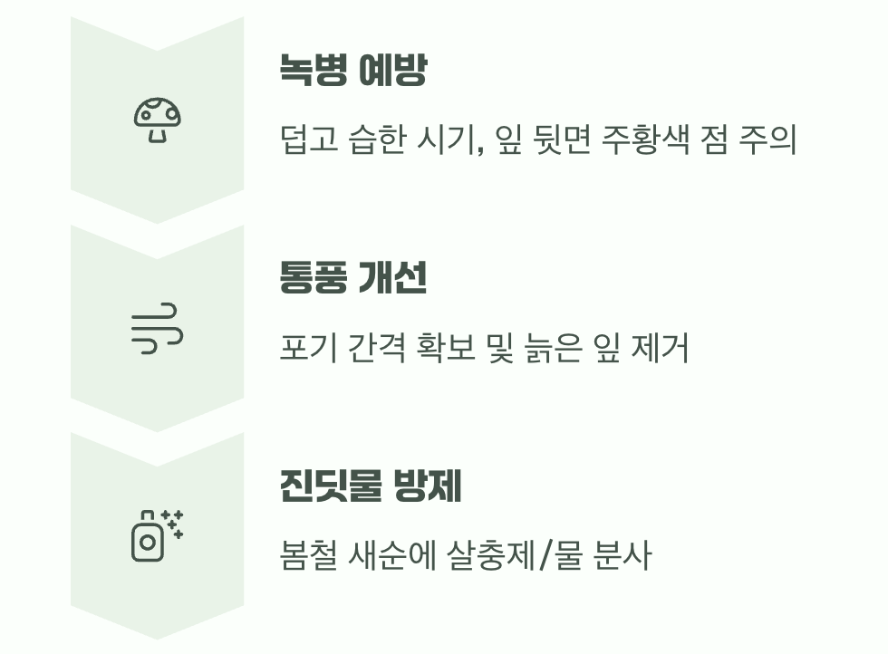 골칫거리 손님, '병충해' 다스리기