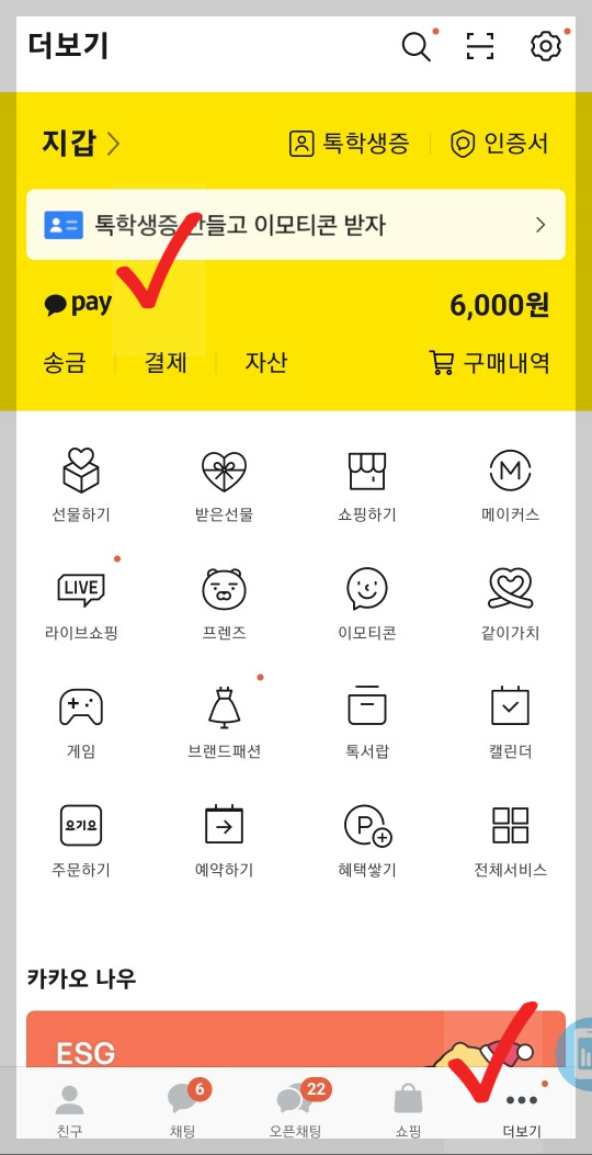 사진