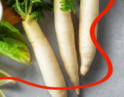 지방간에 좋은 음식 10