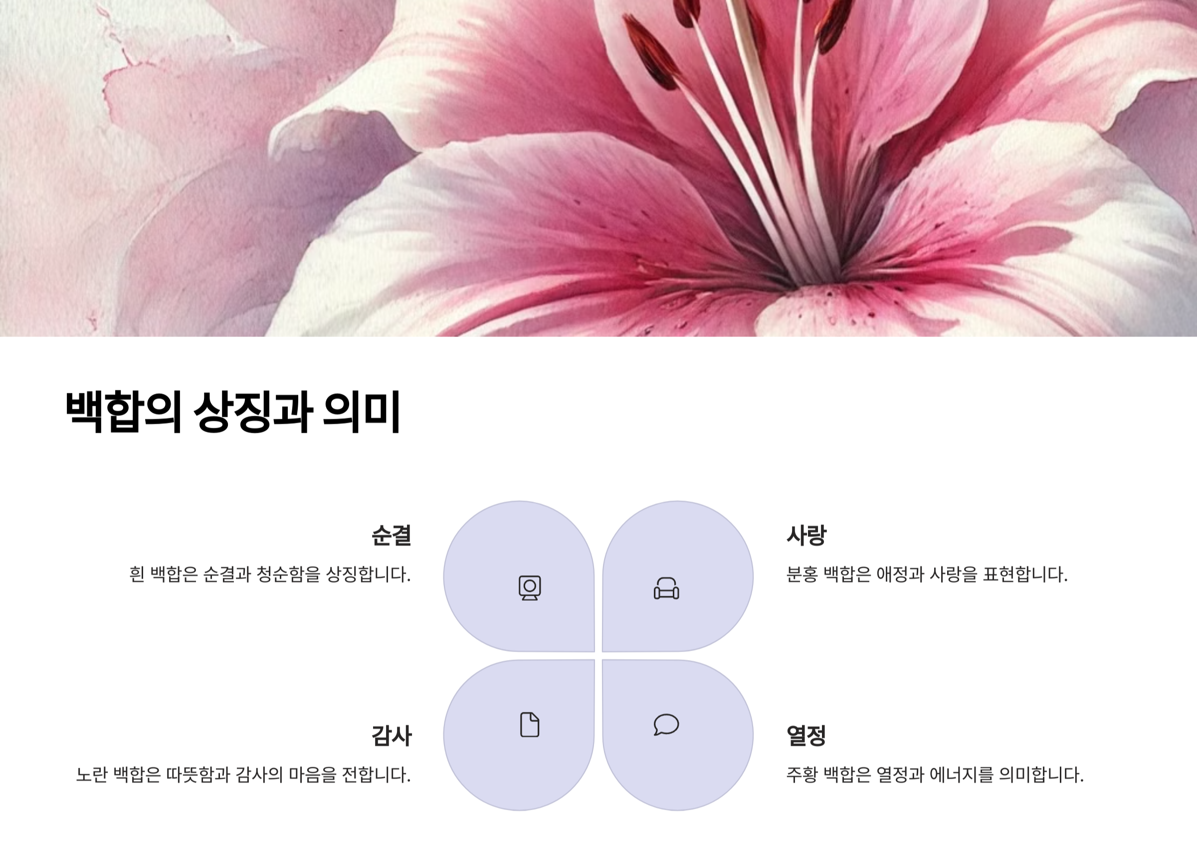 백합 사진
