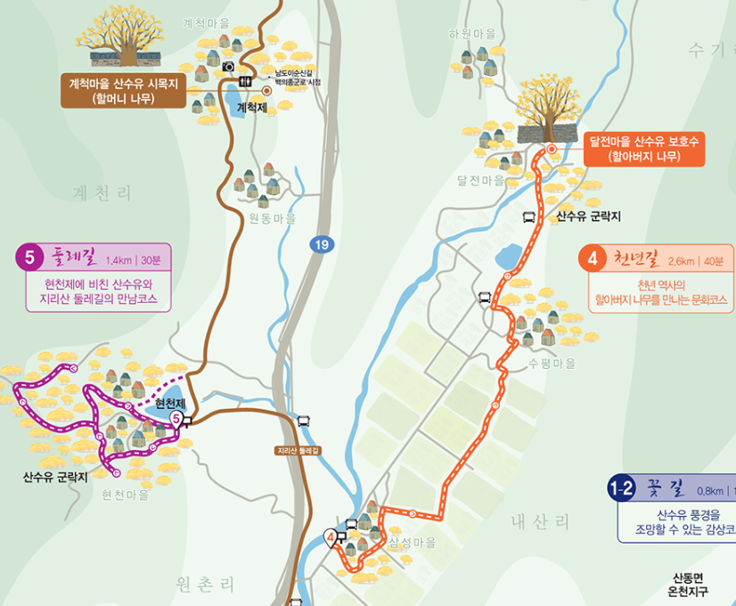 구례 산수유축제
