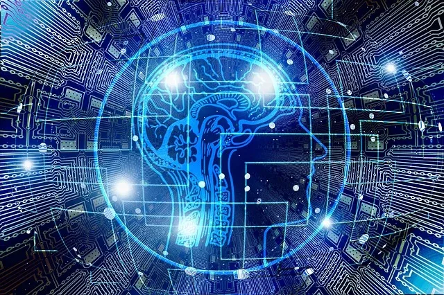 서울런 4만명 돌파하며 AI 콘텐츠 확대한다