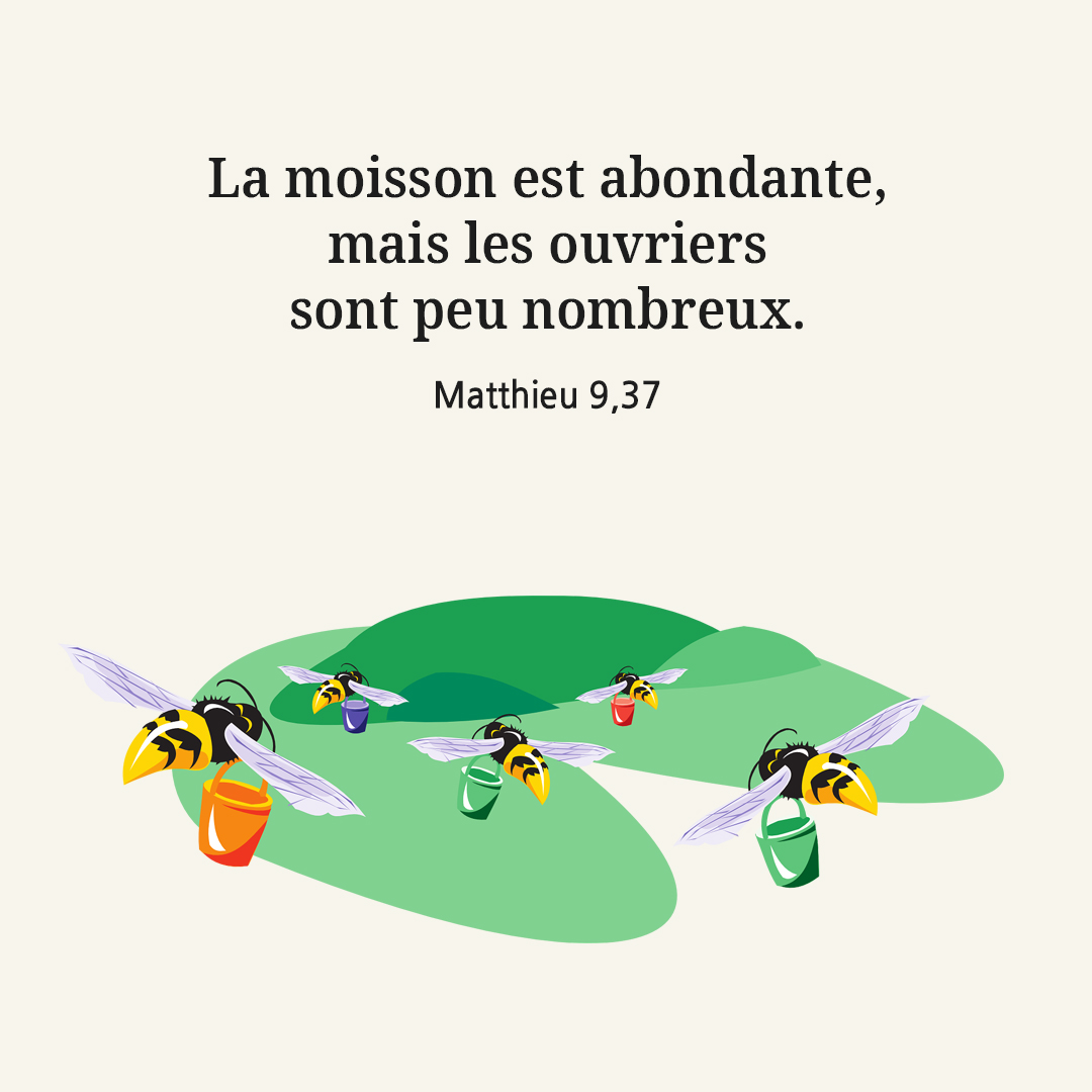 La moisson est abondante, mais les ouvriers sont peu nombreux. (Matthieu 9,37)