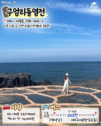 제주공항근처가볼만한곳 제주공항 근처 가볼만한곳 가족과 가기 좋은 리스트 완벽 가이드_12