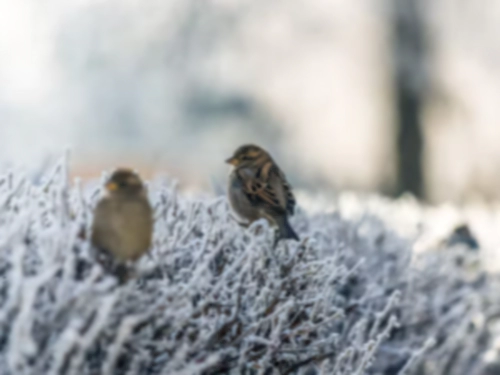 추운날씨 인사말