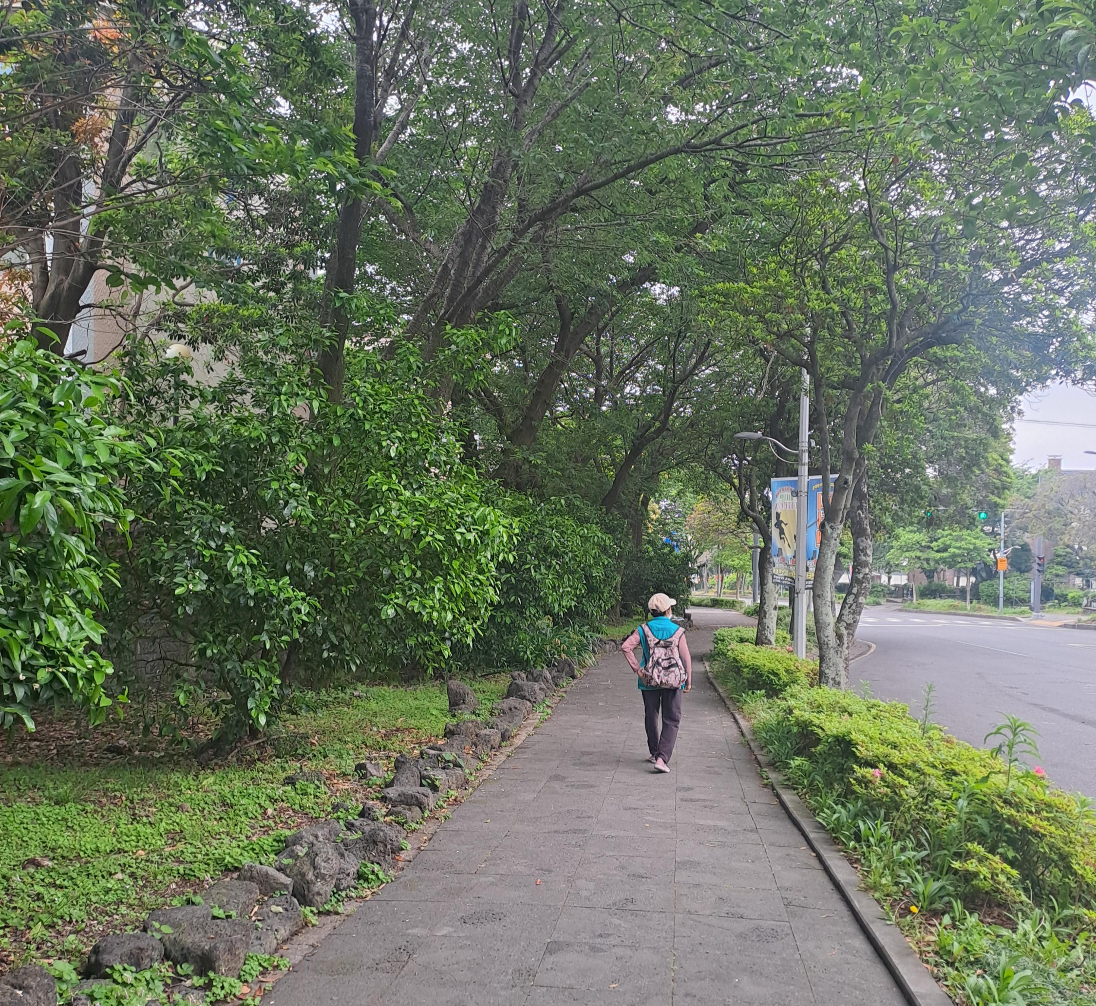 과학적으로 검증된 굶지 않고 3개월에 13.6kg 감량 식단