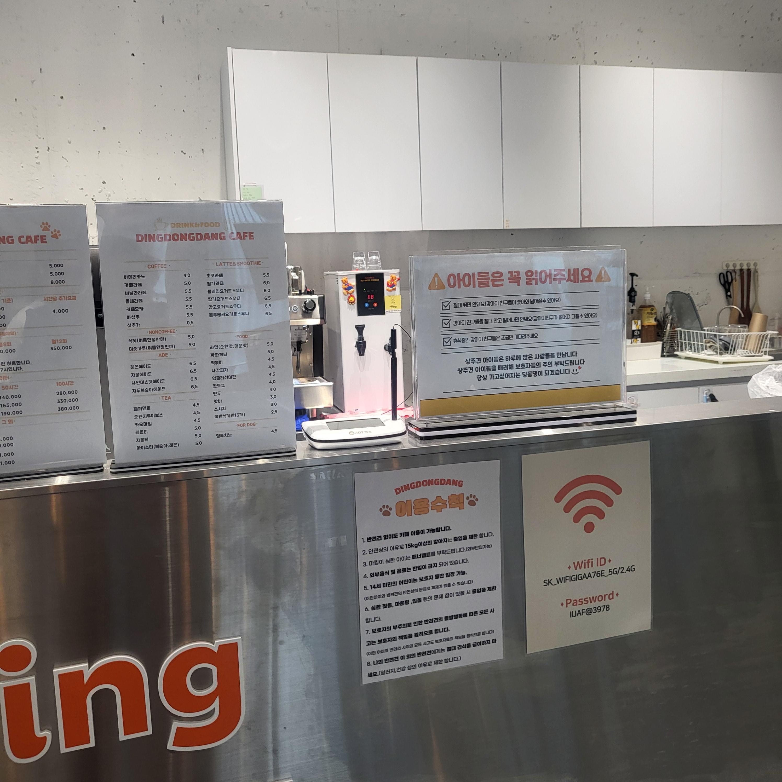 울산 애견 카페(딩동댕 애견카페)