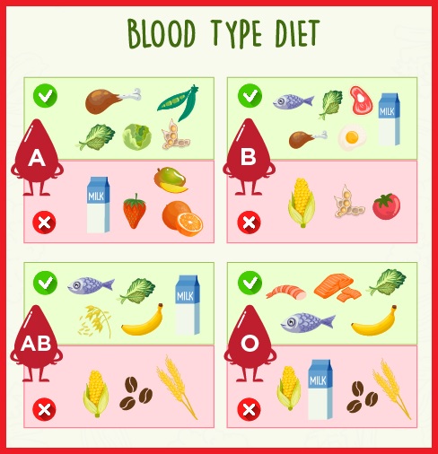 혈액형 다이어트