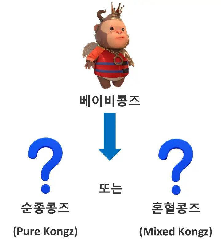 베이비콩즈의 확장