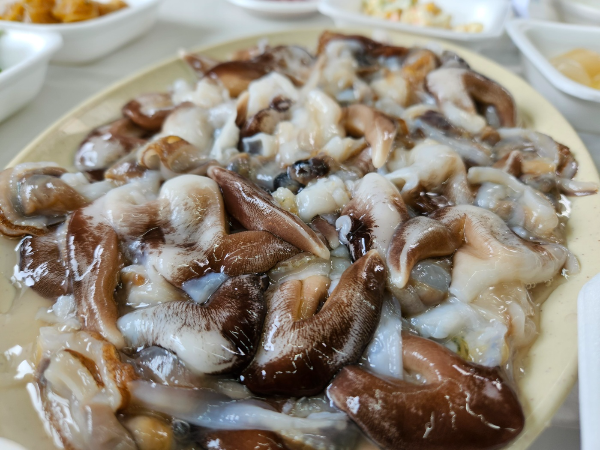 손질되어 온 새조개