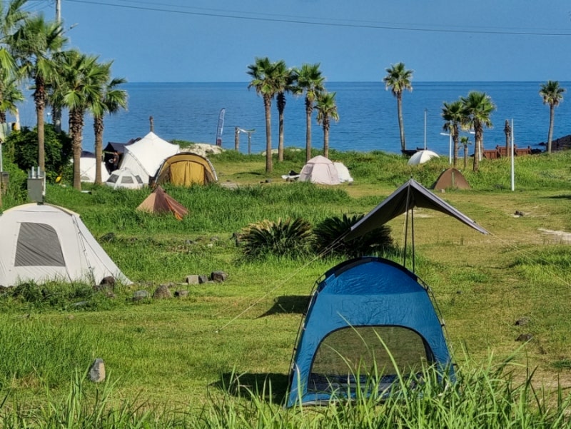 제주 함덕 비치 캠핑존