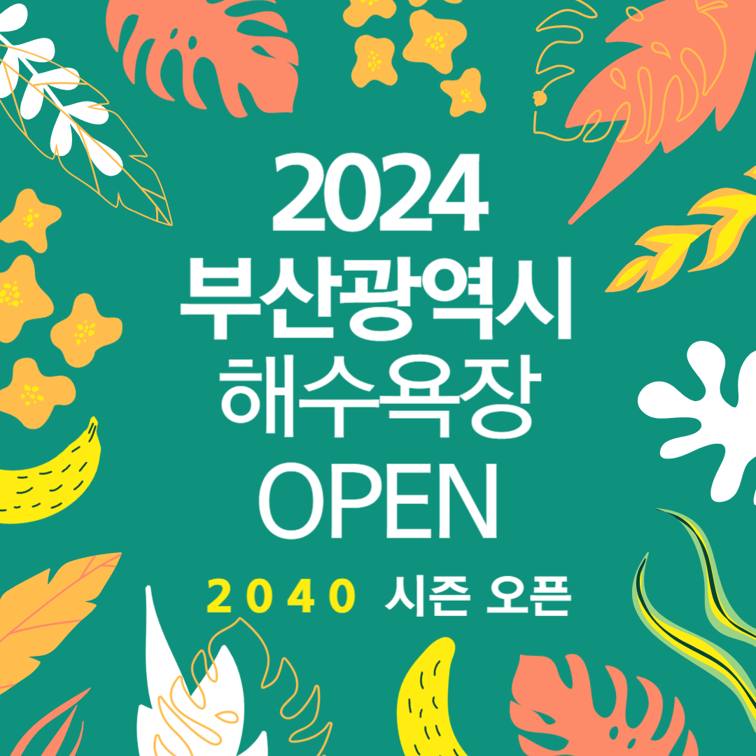 부산광역시 최고의 해변을 찾아보세요! 송정과 해운대 해수욕장의 해변 가이드!