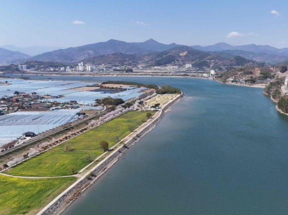 하동 유채꽃 산책