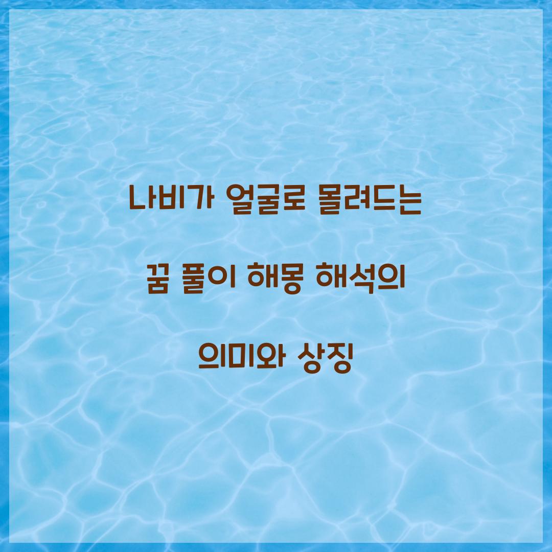 나비가 얼굴로 몰려드는 꿈 풀이 해몽 해석