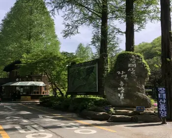 장태산 자연휴양림_1
