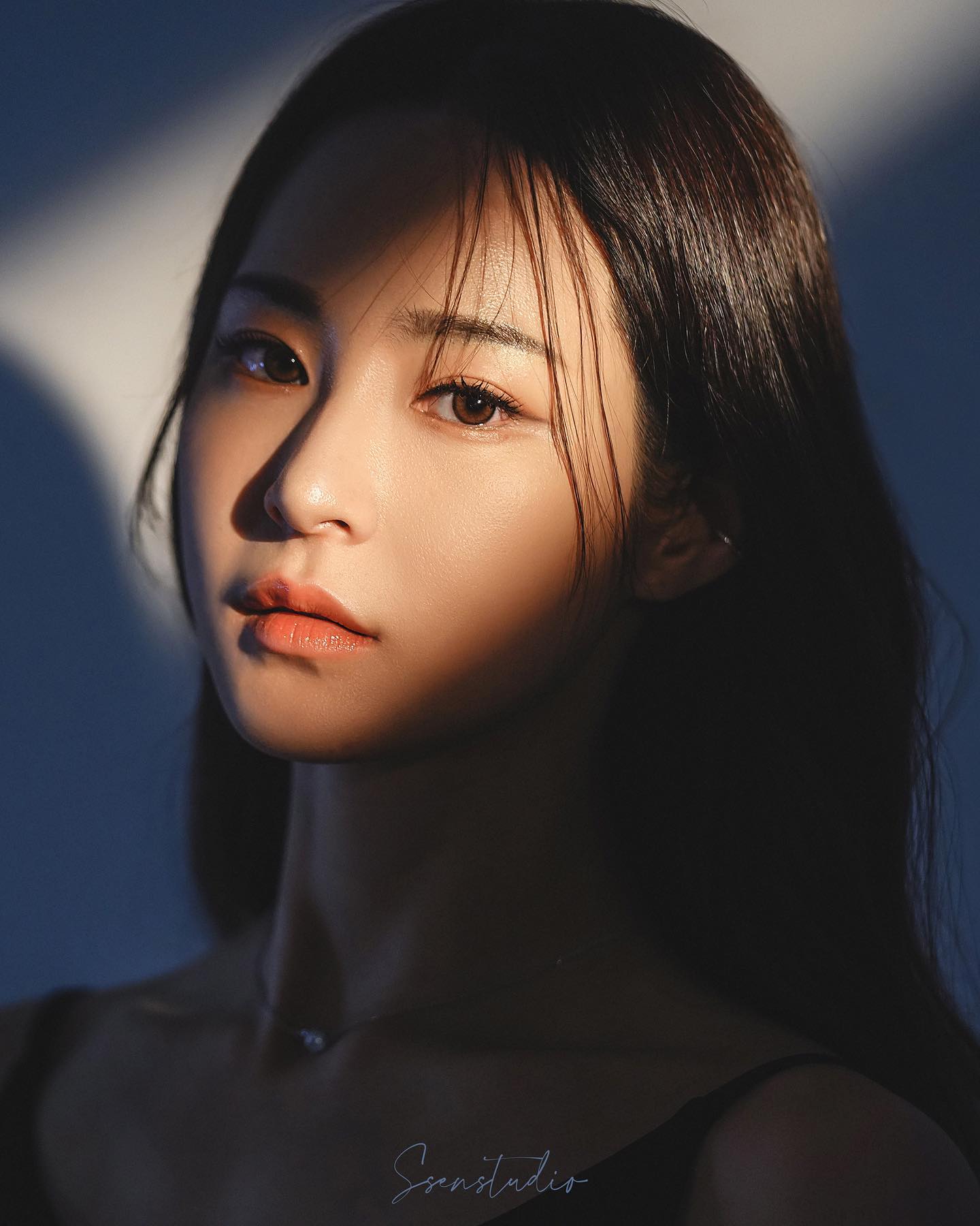 피티니스 모델 이송이