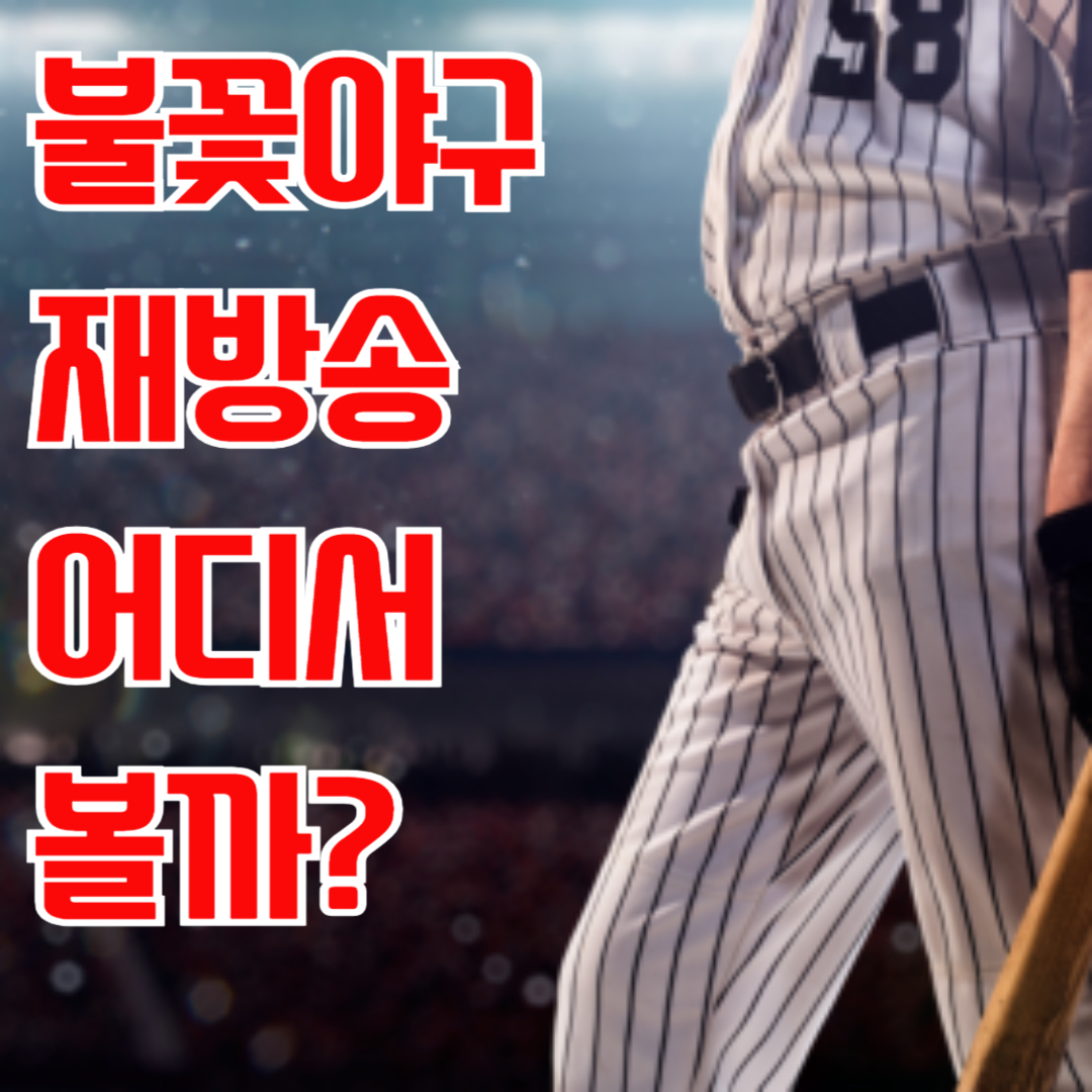 불꽃야구 재방송