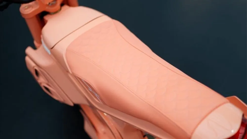 브라부스 어반 E 퍼스트 에디션 피치