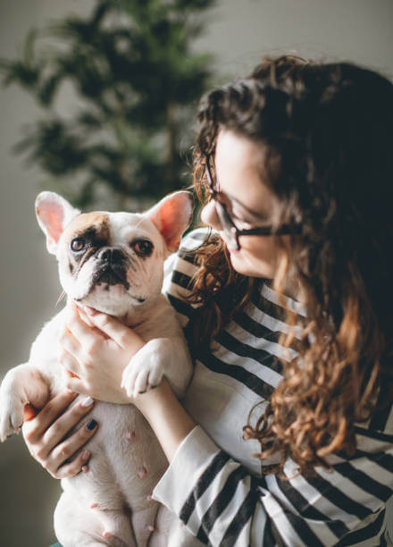 반려동물 눈·귀 건강 체크