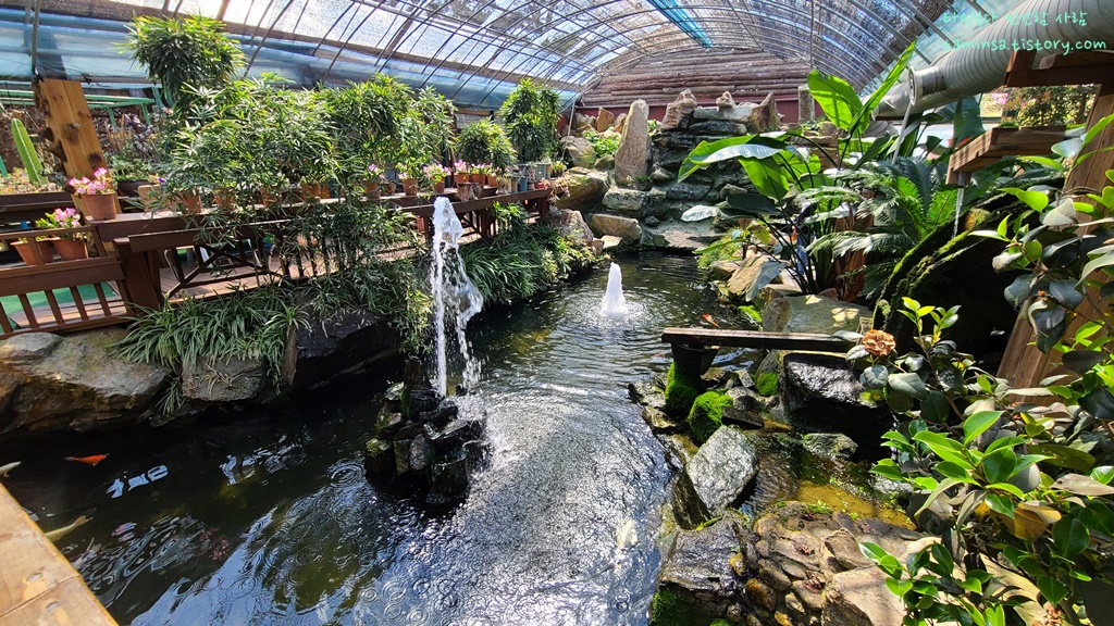 용도수목원-허브식물원