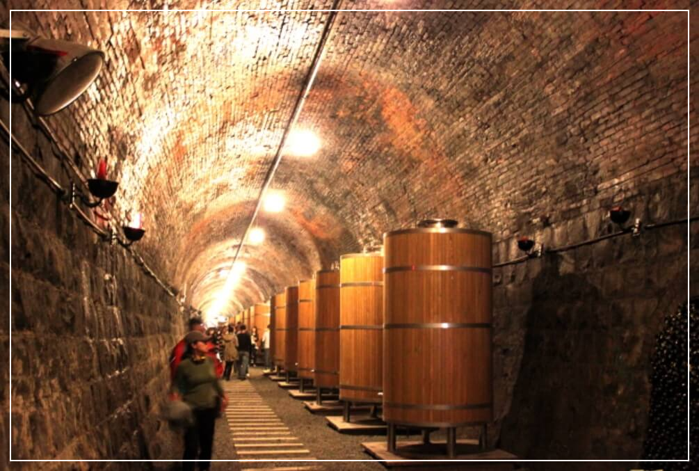 청도 가볼만한곳 베스트10 청도 와인터널