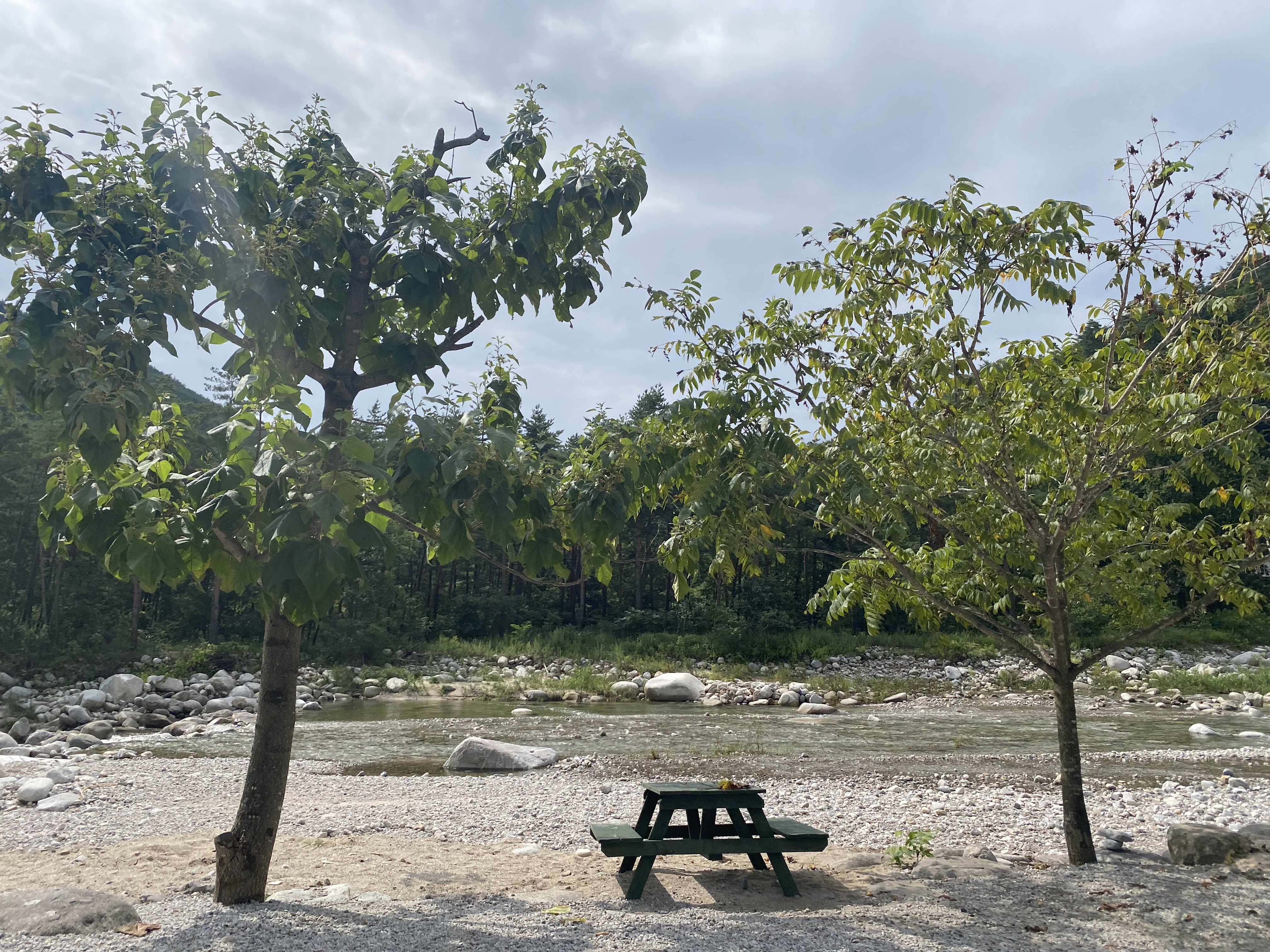 장천마을-캠핑장의-모습