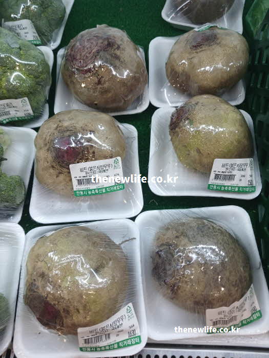 비트 효능 먹는 방법 실사진