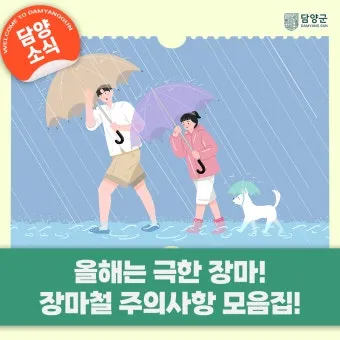 장마 시작 강수량 비 예보 배수구 점검 누수 예방 팁_7