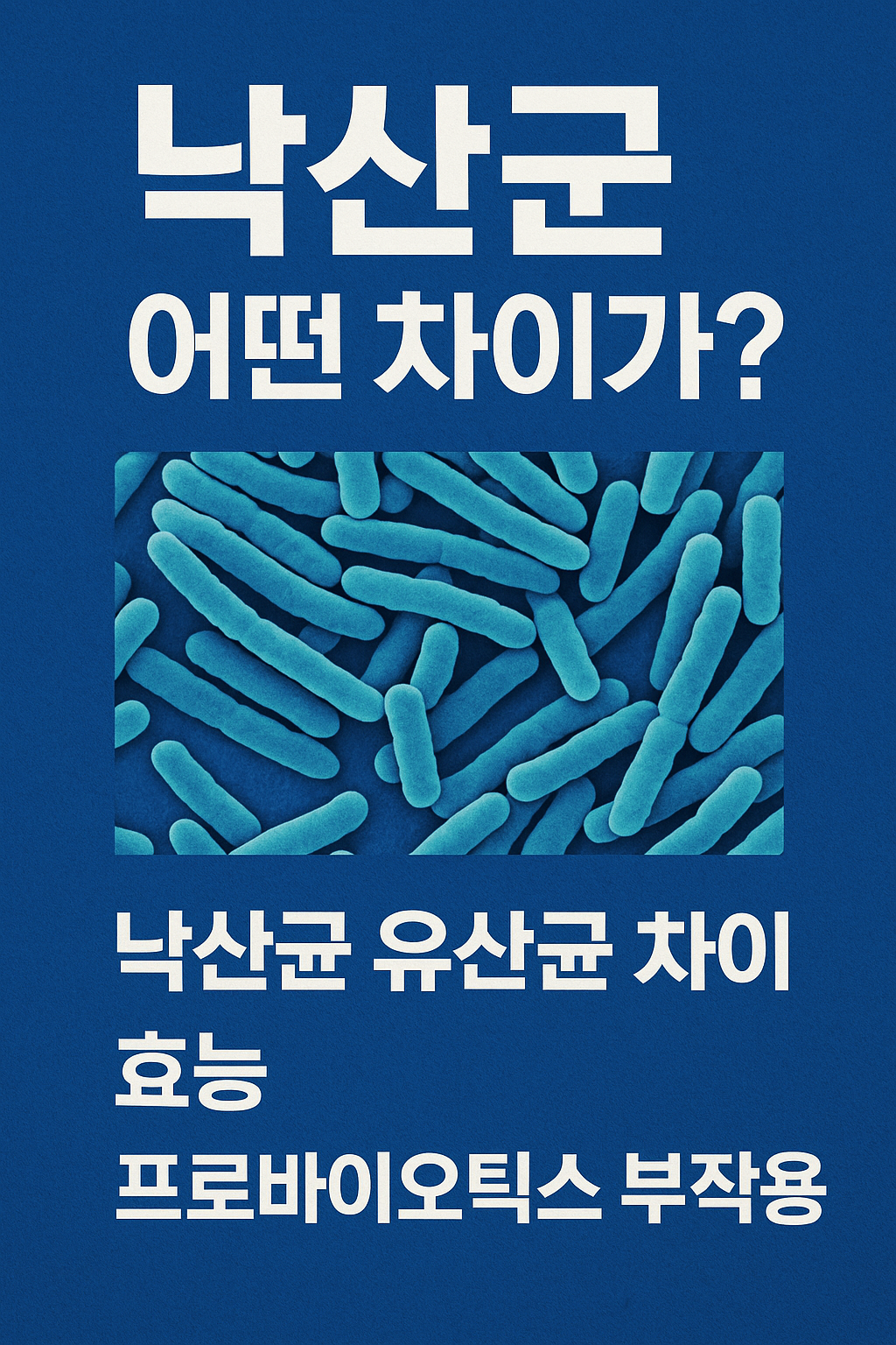 낙산균, 유산균과 뭐가 다를까? 이 효능들을 알면 매일 챙기게 됩니다