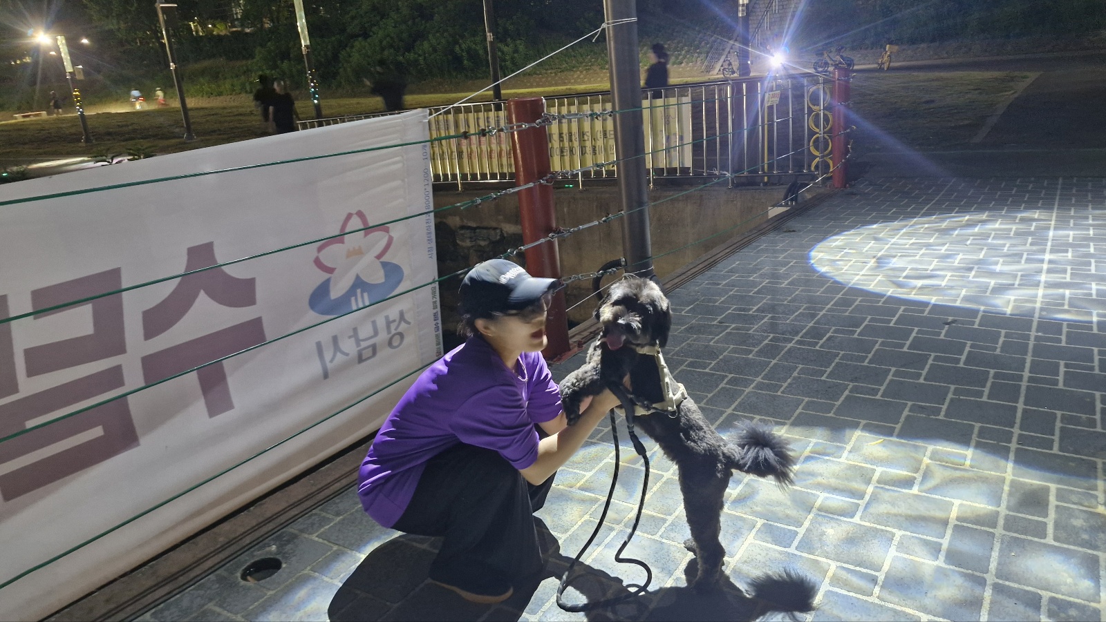 초보 반려인이 반드시 알아야할 치명적 행동