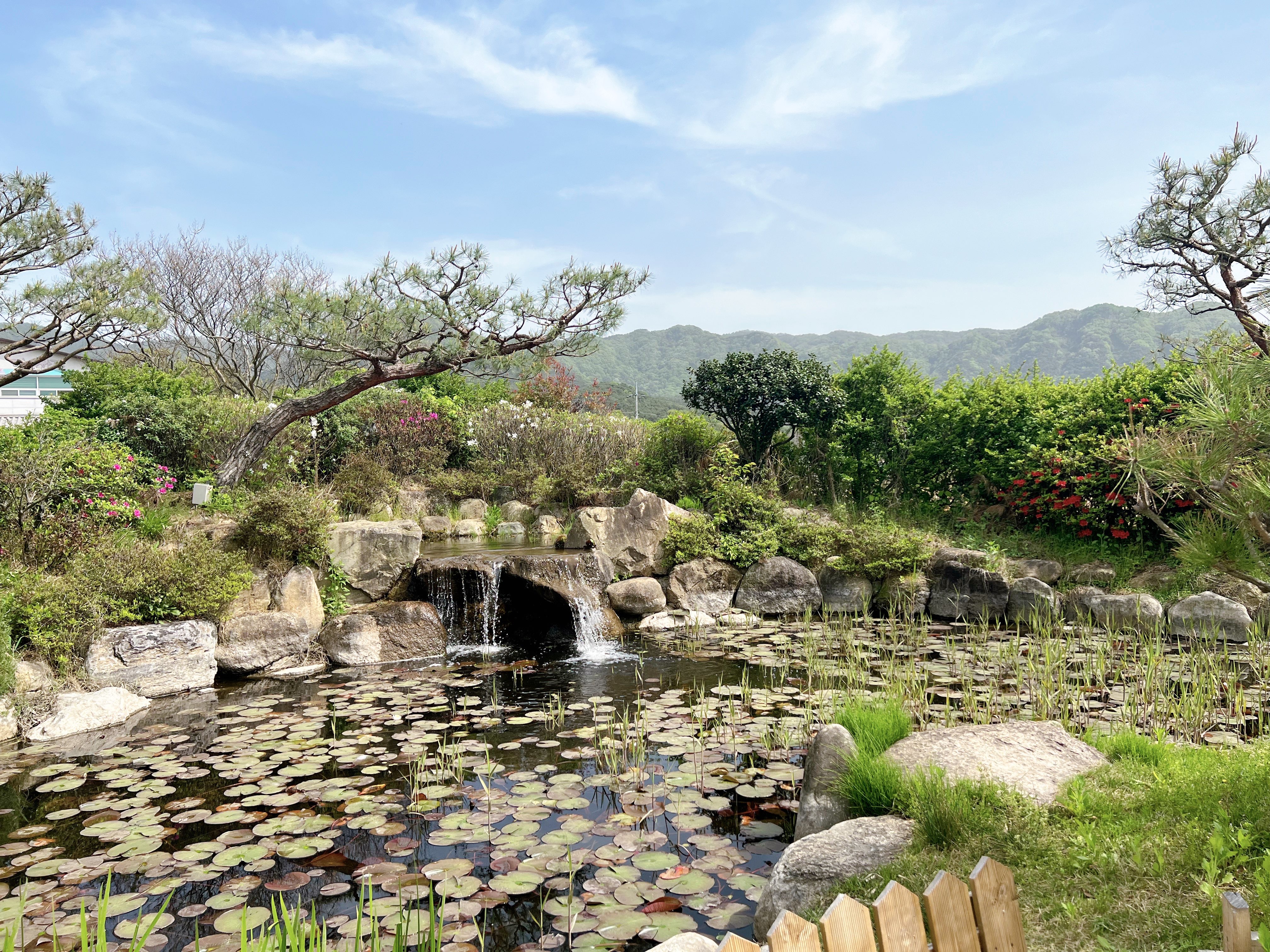 담양 창평 한옥카페 카페하녹