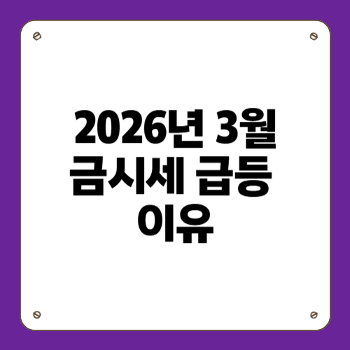 2026년 3월 오늘의 금시세