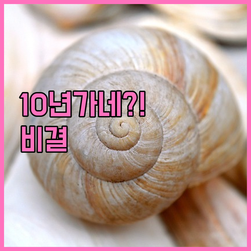 눈밑지방 재배치 수술 결과 10년 이..