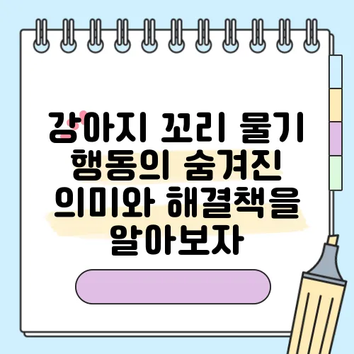 강아지 꼬리 물기 행동의 숨겨진 의미와 해결책을 알아보자