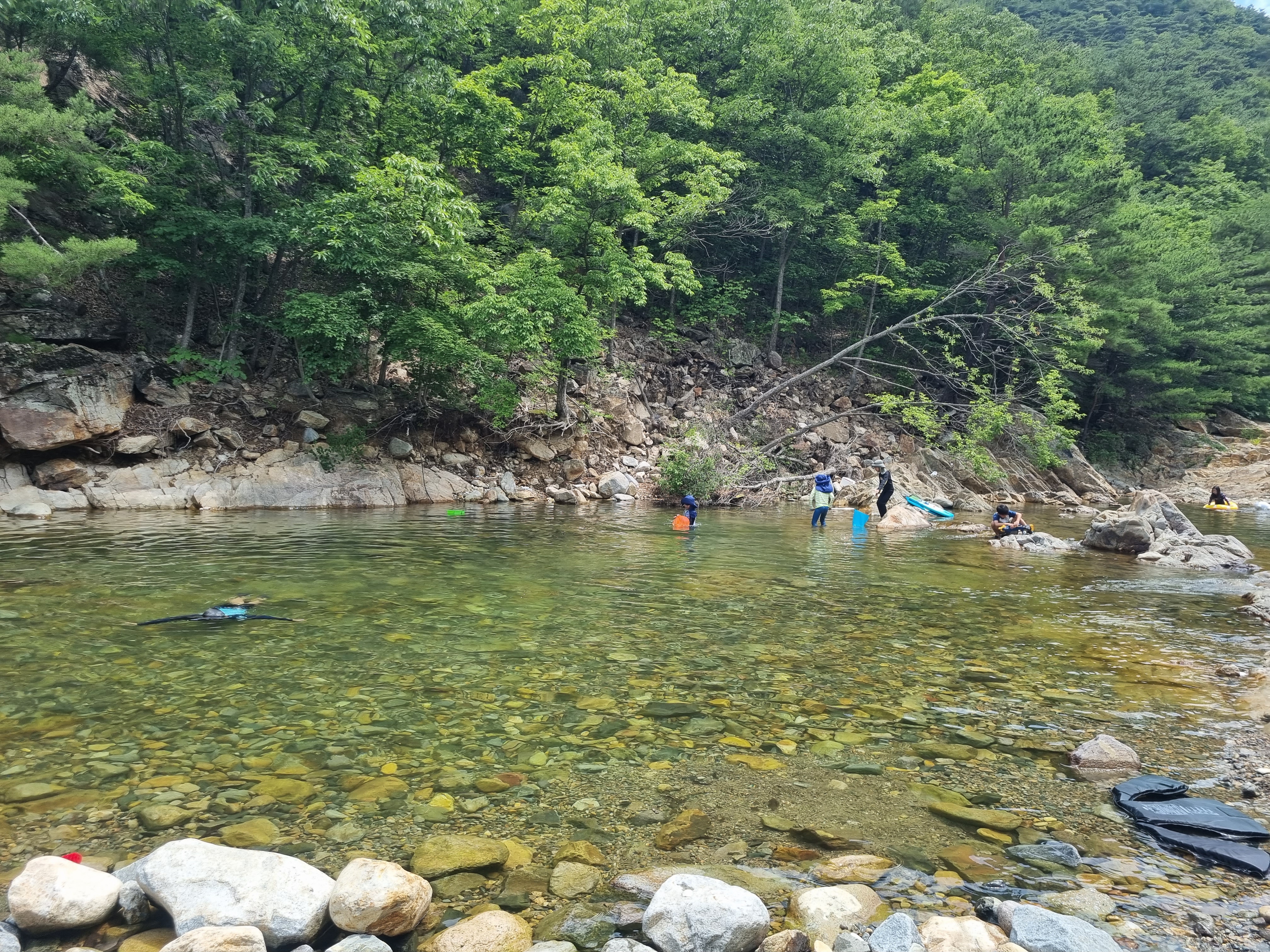 둥지펜션캠핑장