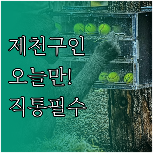 제천 교차로 구인구직 바로가기 및 지..