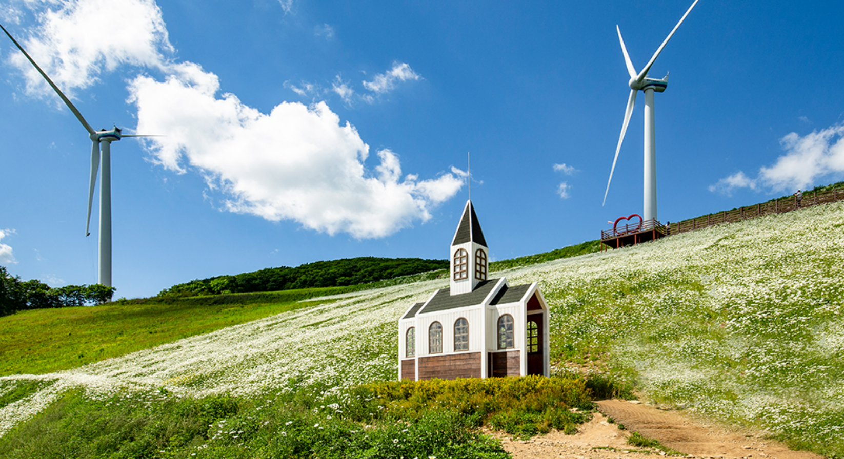 평창육백마지기