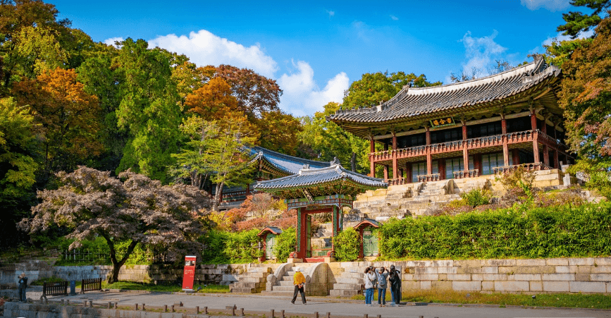 창덕궁 달빛