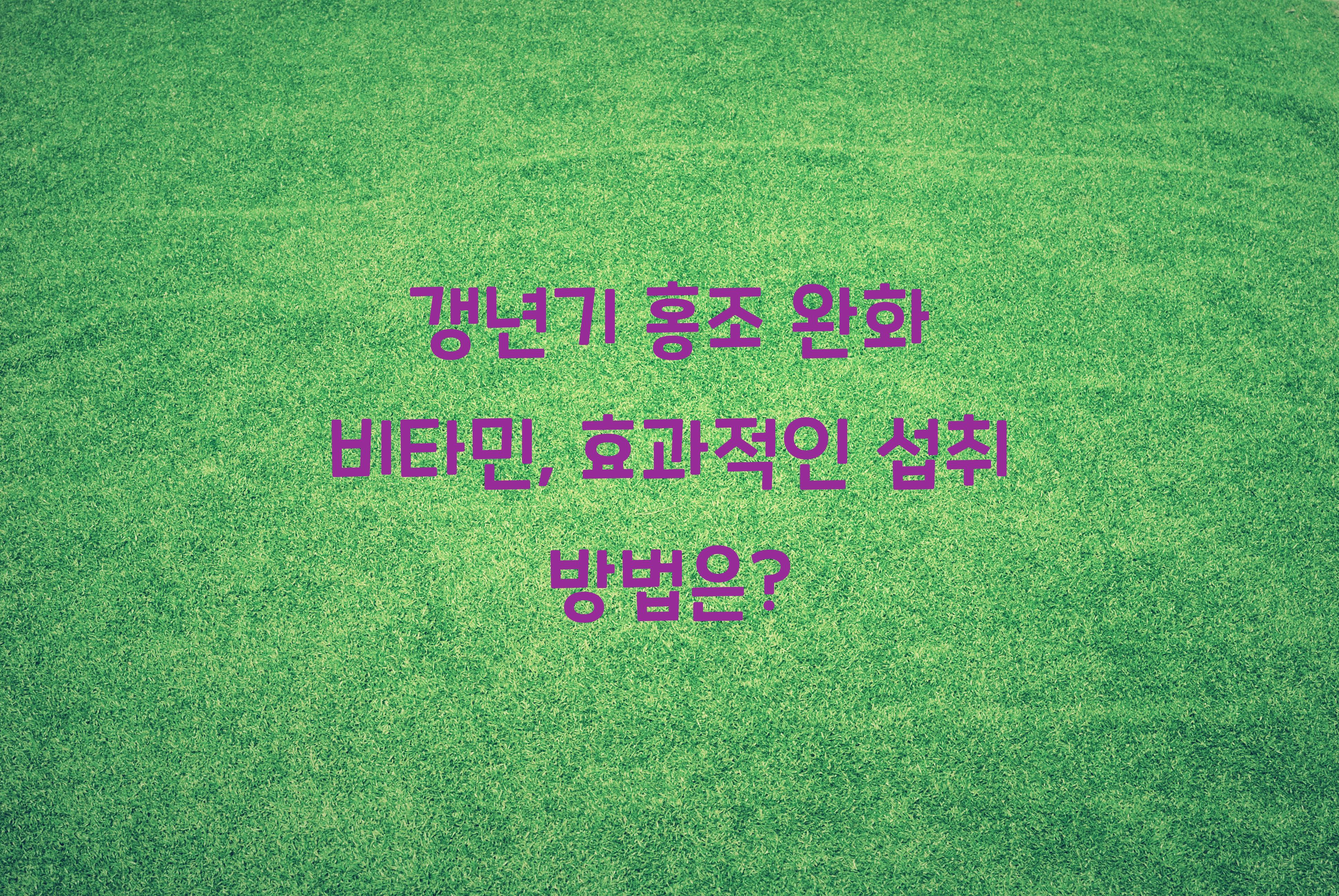 갱년기 홍조 완화 비타민