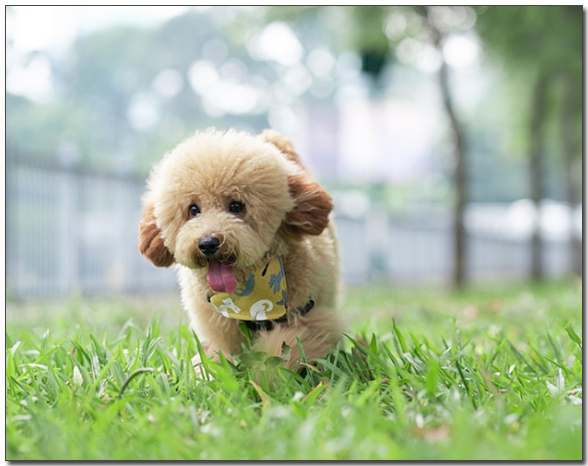 μλμμ λ
Έλ ν μ΄νΈλ€