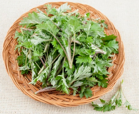 한국의 떡 종류 무지개떡-쑥