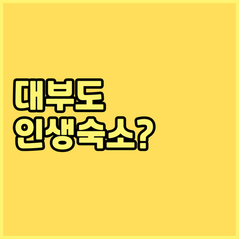 대부도 시흥 거북섬 선재도 근처 인기..