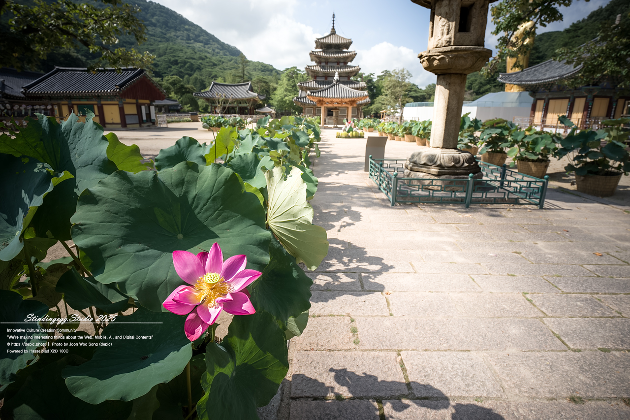 #보은 #속리산 #법주사 #사찰 #불교