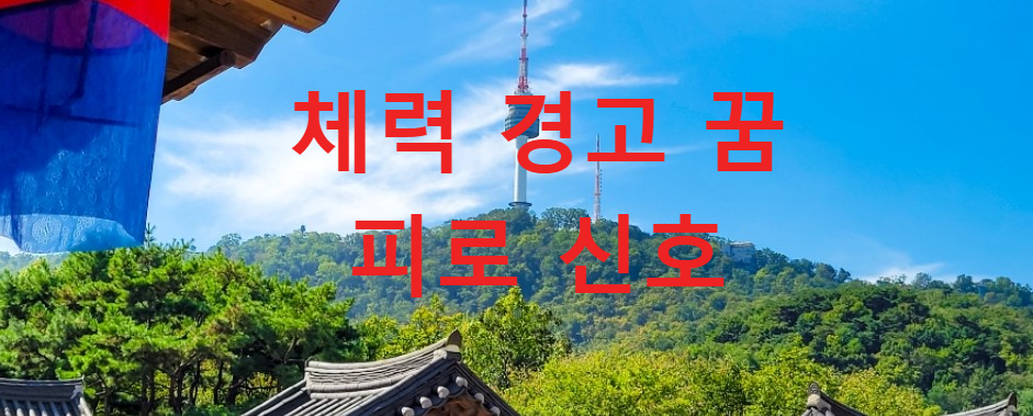 꿈과건강