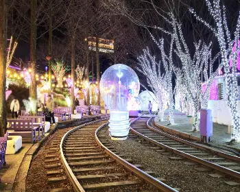 청도 프로방스 빛축제_3