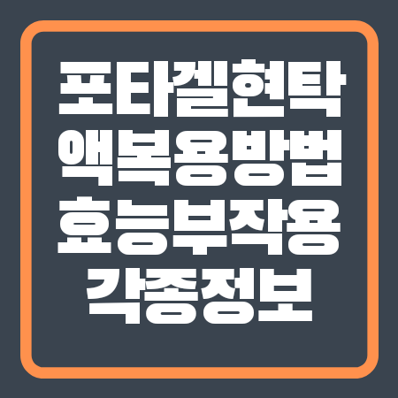 포타겔 현탁액