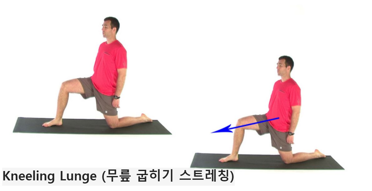 무릎 꿇고 하는 런지 스트레칭 (Kneeling Lunge)