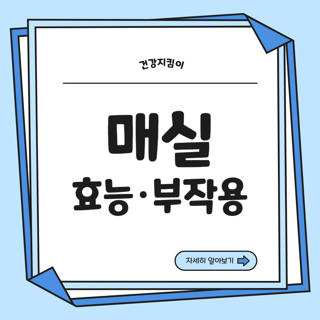매실 효능과 부작용 고르는법 칼로리