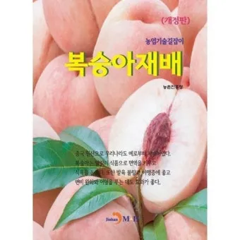 복숭아 재배 꽃 솎기 잎 따기 갈반병 방제_2
