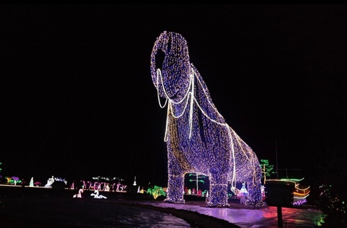 겨울 여행지 추천 일몰 명소